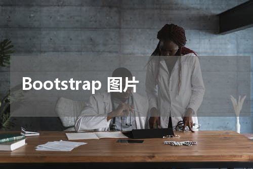 Bootstrap 图片 