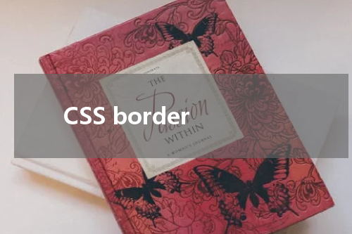 CSS border-right 属性使用方法及示例 
