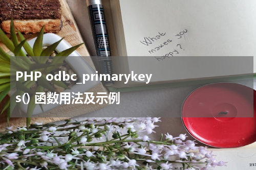 PHP odbc_primarykeys() 函数用法及示例 - PHP教程
