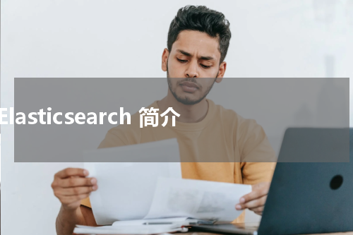 Elasticsearch 简介 