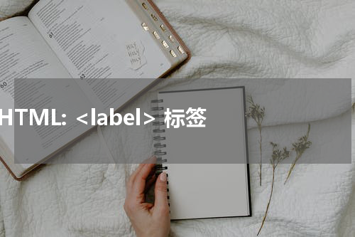 HTML: <label> 标签 