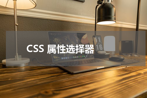 CSS 属性选择器 