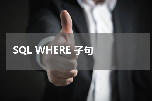 SQL WHERE 子句 