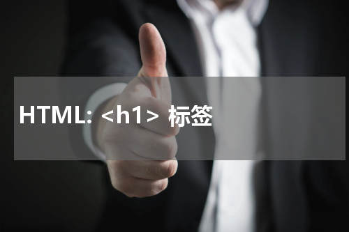 HTML: <h1> 标签 