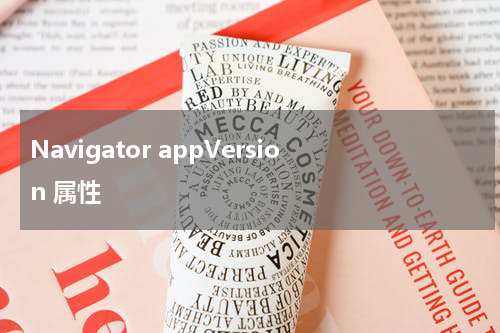 Navigator appVersion 属性