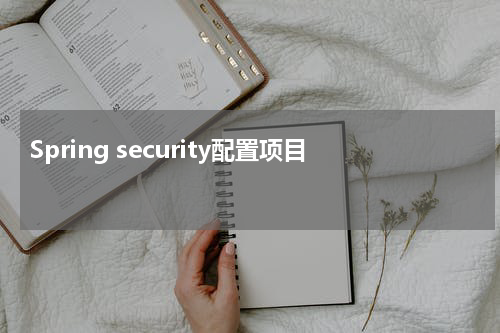 Spring security配置项目 - Spring教程