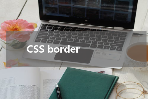 CSS border-color 属性使用方法及示例 