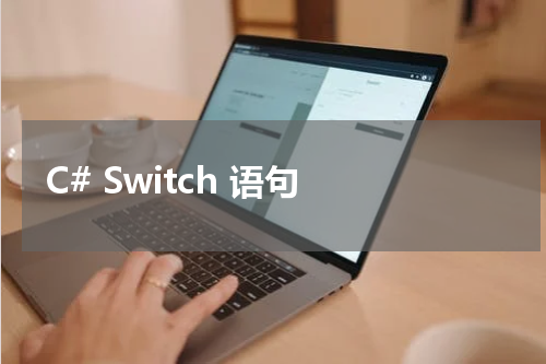 C# Switch 语句 - C#教程 