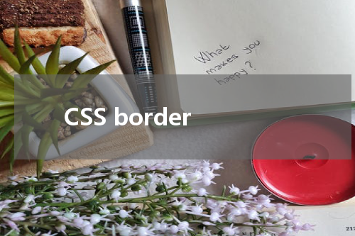 CSS border-bottom 属性使用方法及示例 
