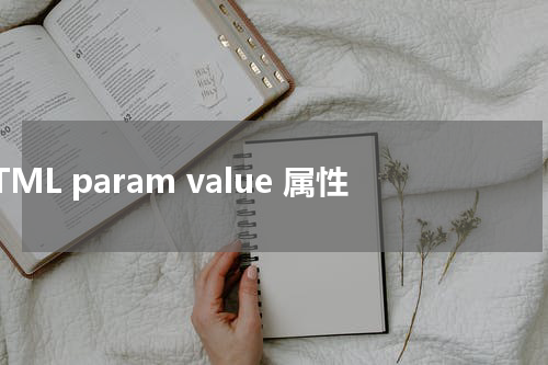 HTML param value 属性