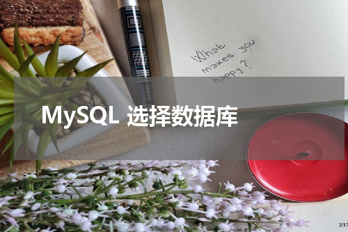 MySQL 选择数据库 