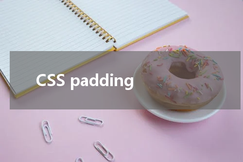 CSS padding-right 属性使用方法及示例 