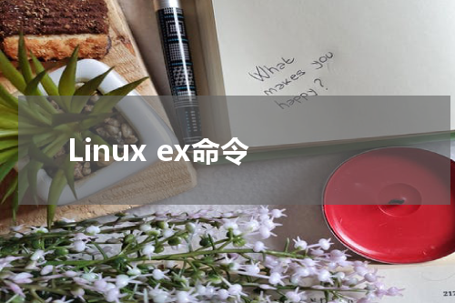 Linux ex命令 - Linux教程