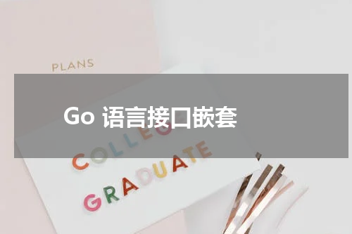 Go 语言接口嵌套 - Golang教程 