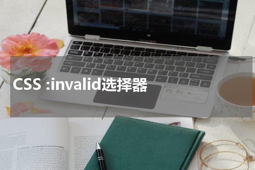 CSS :invalid选择器