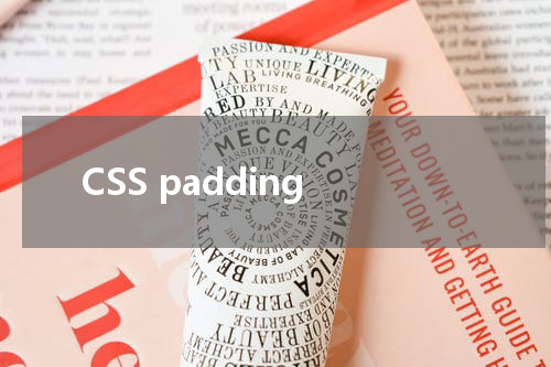 CSS padding-left 属性使用方法及示例 