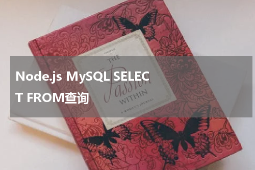 Node.js MySQL SELECT FROM查询 