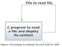 在C语言编程中显示其自身源代码的过程